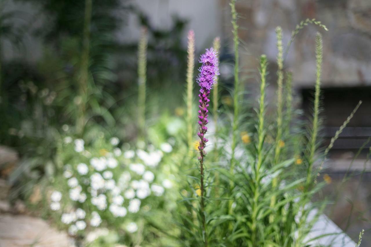 Fragrant Garden Apartment Lisboa Exterior foto